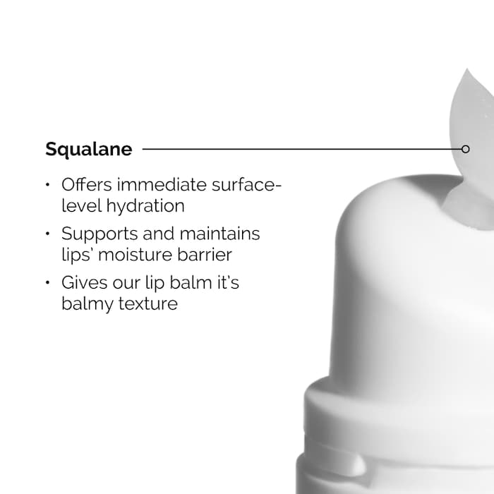 The Ordinary Squalane + Amino Acids Lip Balm